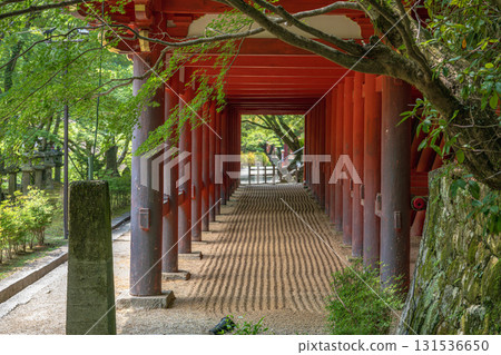 Beautiful pillars under the stage at the worship hall of Tanzan Shrine in Nara 131536650