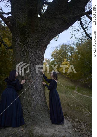 Two women in the long black dresses perform a historical reenactment of the Edwardian era on a hill near a majestic oak tree for Halloween. 131536896