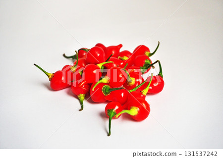 Red mild chili pepper (biquinho) (autumn, October) 131537242