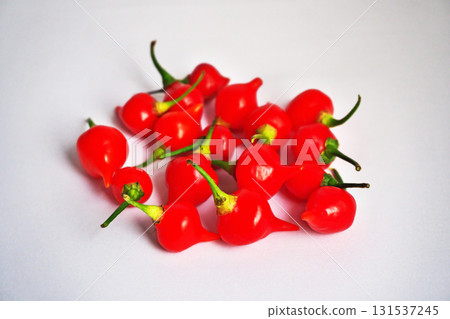 Red mild chili pepper (biquinho) (autumn, October) 131537245