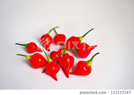 Red mild chili pepper (biquinho) (autumn, October) 131537247