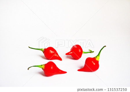 Red mild chili pepper (biquinho) (autumn, October) 131537250