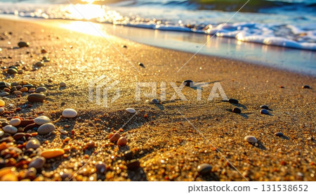 Serene sandy beach shoreline with scattered s and pebbles under golden sunlight with gentle ocean waves in the background creating a peaceful seaside scene 131538652
