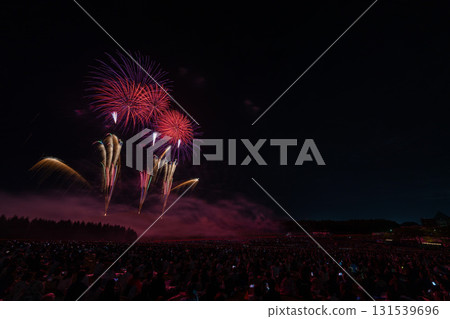 Hokkaido Artistic Fireworks Festival, Moere Numa, Sapporo, Fireworks, Summer 131539696