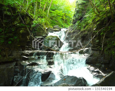 A clear stream flowing through a green forest A clear stream flowing through a green forest 131540194