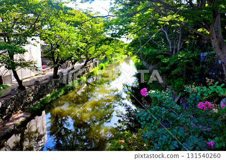 Omihachiman Hachimanborei 131540260