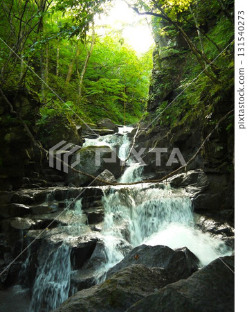 Small waterfall in the forest 131540273