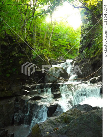 The landscape of the Oirase Stream The landscape of the Oirase Stream 131540274
