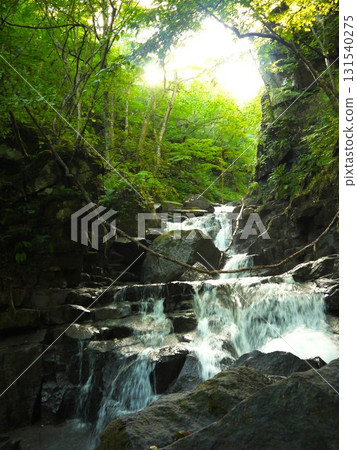 奧入瀨溪的景觀 131540275