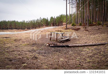 Empty picnic table in forest clearing under overcast sky 131541031