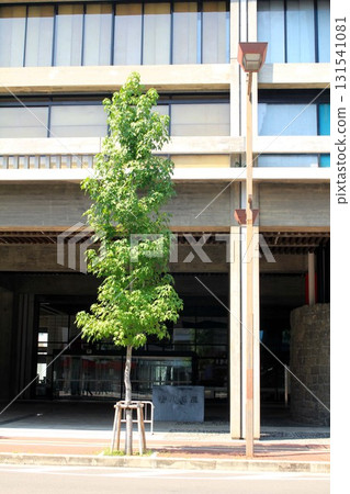 Kagawa prefectural office Kagawa prefectural office 131541081