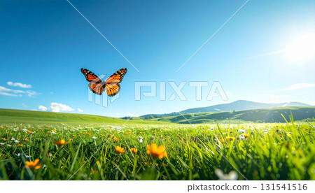 Orange butterflies flutter across a vast green meadow under the blue sky and sunshine 131541516