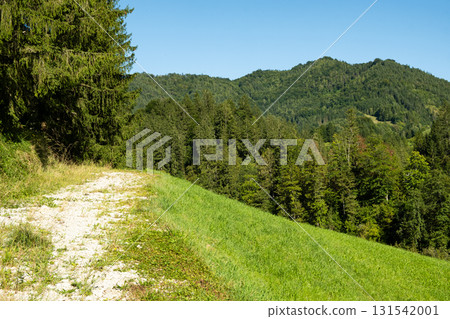 Travel Road in European Mountains with Scenic Forest View Travel Road in European Mountains with Scenic Forest View 131542001