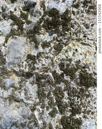 Weathered Stone Wall Texture Showing Cracks and Natural Vertical Patterns 131542008