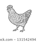 Image of a chicken in engraving style 131542494