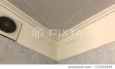 Black mold on the ceiling, a dirty range hood on the wall, old blue tiles everywhere. The bathroom ceiling is damaged by moisture. Black mold on the ceiling, a dirty range hood on the wall, old blue tiles everywhere. The bathroom ceiling is damaged by moisture. 131542649