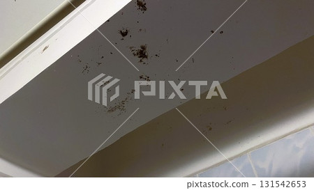 A bathroom beam in the shadows, damaged by moisture to the point of black mold, with old blue tiles in the background 131542653