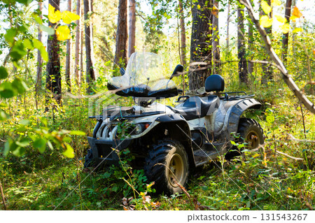 quad bike or ATV among trees on a sunny day in the forest quad bike or ATV among trees on a sunny day in the forest 131543267