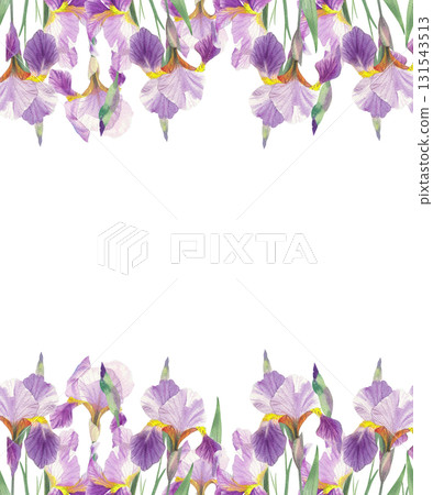 Seamless two sides border of irises. Watercolor handmade illustration. For packaging design, cards, cover, prints, product labels and fabric. Seamless two sides border of irises. Watercolor handmade illustration. For packaging design, cards, cover, prints, product labels and fabric. 131543513