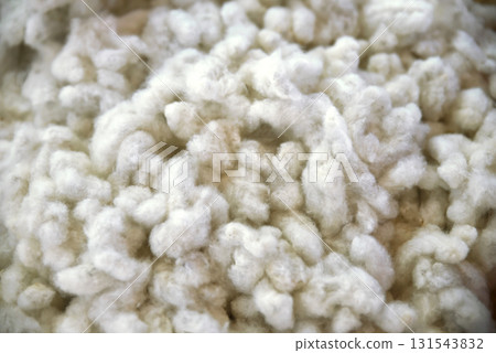 Piles of white kapok fiber, natural raw material for making yarn and fabric. Piles of white kapok fiber, natural raw material for making yarn and fabric. 131543832