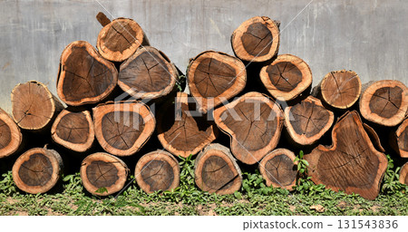 A pile of logs used for firewood, showing the cross-section of the trunk. placed outside There is a concrete wall in the background. 131543836