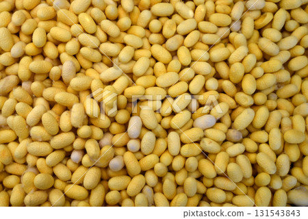 Top view of pile of yellow silkworm cocoons, natural raw material fibers. a source of silk thread and silk fabric 131543843