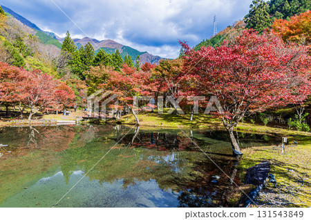 靜岡縣札石公園的秋景 131543849
