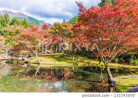 靜岡縣札石公園的秋景 131543850