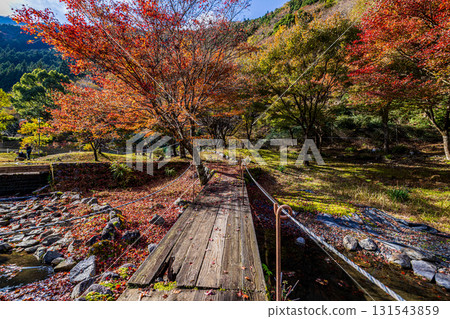 靜岡縣札石公園的秋景 131543859