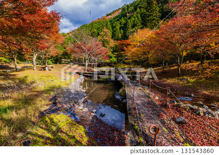 靜岡縣札石公園的秋景 131543860