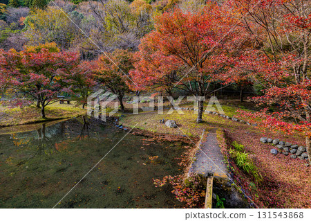 Autumn scenery at Zoriishi Park in Shizuoka Prefecture 131543868