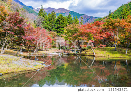 靜岡縣札石公園的秋景 131543871
