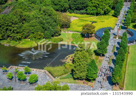 【木曾三泉公園中心】從瞭望塔瞭望室眺望北區（岐阜縣海津市） 131543990