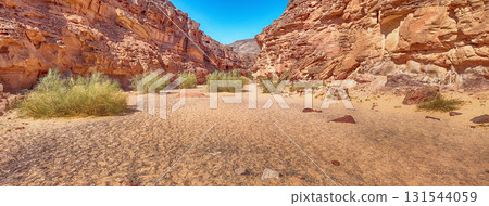 Scenic canyon landscape in the desert of South Sinai, Egypt Scenic canyon landscape in the desert of South Sinai, Egypt 131544059