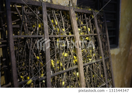 Silkworm Cocoon and Silk Production Video Mulberry Feeding Hatching Process Spinning Threads Traditional Sericulture Weaving Factory Authentic Vietnam Silk Heritage 131544347