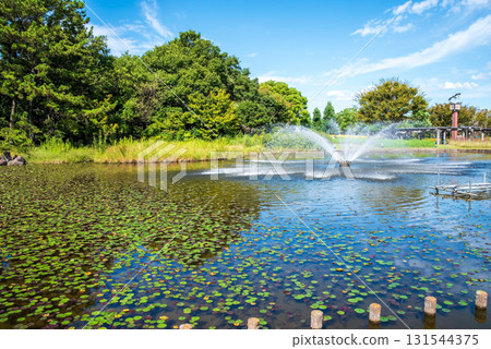 【木曾三泉公園中心】北區噴泉(岐阜縣海津市) 【木曾三泉公園中心】北區噴泉(岐阜縣海津市) 131544375
