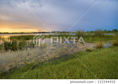 Florida lake nature at sunset. Recreational wildlife area in Wellen park in Venice 131544458