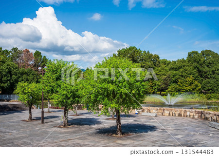 [木曾三泉公園中心] 北區（岐阜縣海津市） 131544483