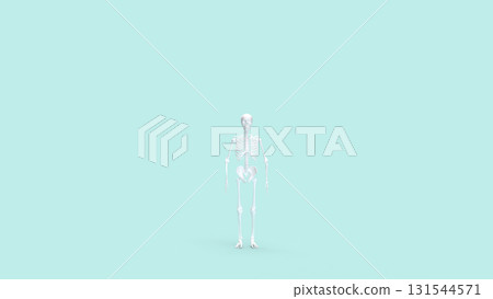 The Skelton on Blue Background for education or sci concept 3d rendering. The Skelton on Blue Background for education or sci concept 3d rendering. 131544571