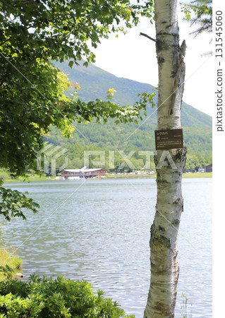 Scenery along Lake Megami 131545060