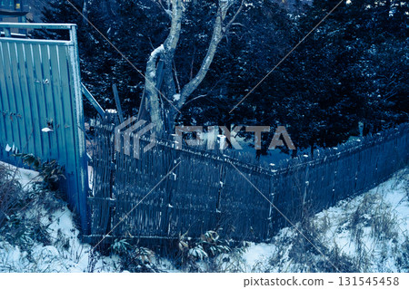 冬季有圍欄的花園 131545458