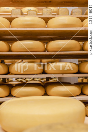 Cheese wheels made from cows milk aging on wooden shelves inside a cheese factory. 131546015