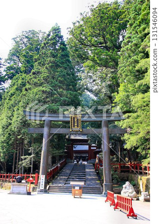 To summer Nikko... Futarasan Shrine, surrounded by lush greenery To summer Nikko... Futarasan Shrine, surrounded by lush greenery 131546094