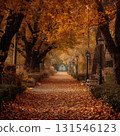 Landscape with autumn leaves 131546123