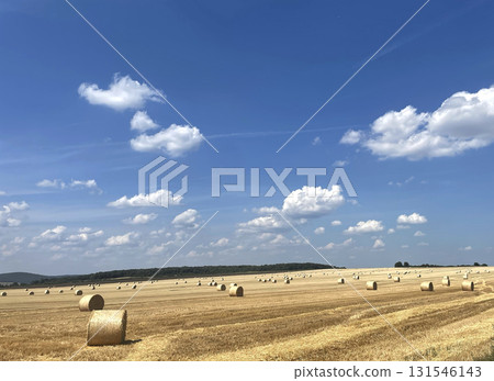 Golden Harvest Field with Hay Bales and Rolling Hills Golden Harvest Field with Hay Bales and Rolling Hills 131546143
