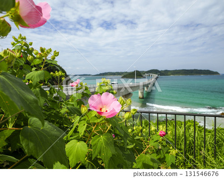 Superb view of Tsunoshima Bridge in Shimonoseki City 131546676