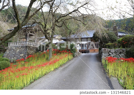 Entrance of Jorakuji Temple Entrance of Jorakuji Temple 131546821