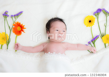 Baby Newborn Photo 131546904