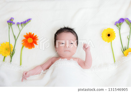 Baby Newborn Photo 131546905