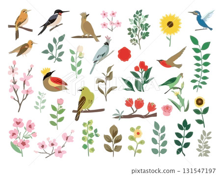花草鳥插畫素材 131547197